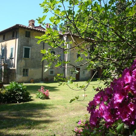 Bed & Breakfast Villa Masini-Luccetti Pietrasanta Exteriér fotografie