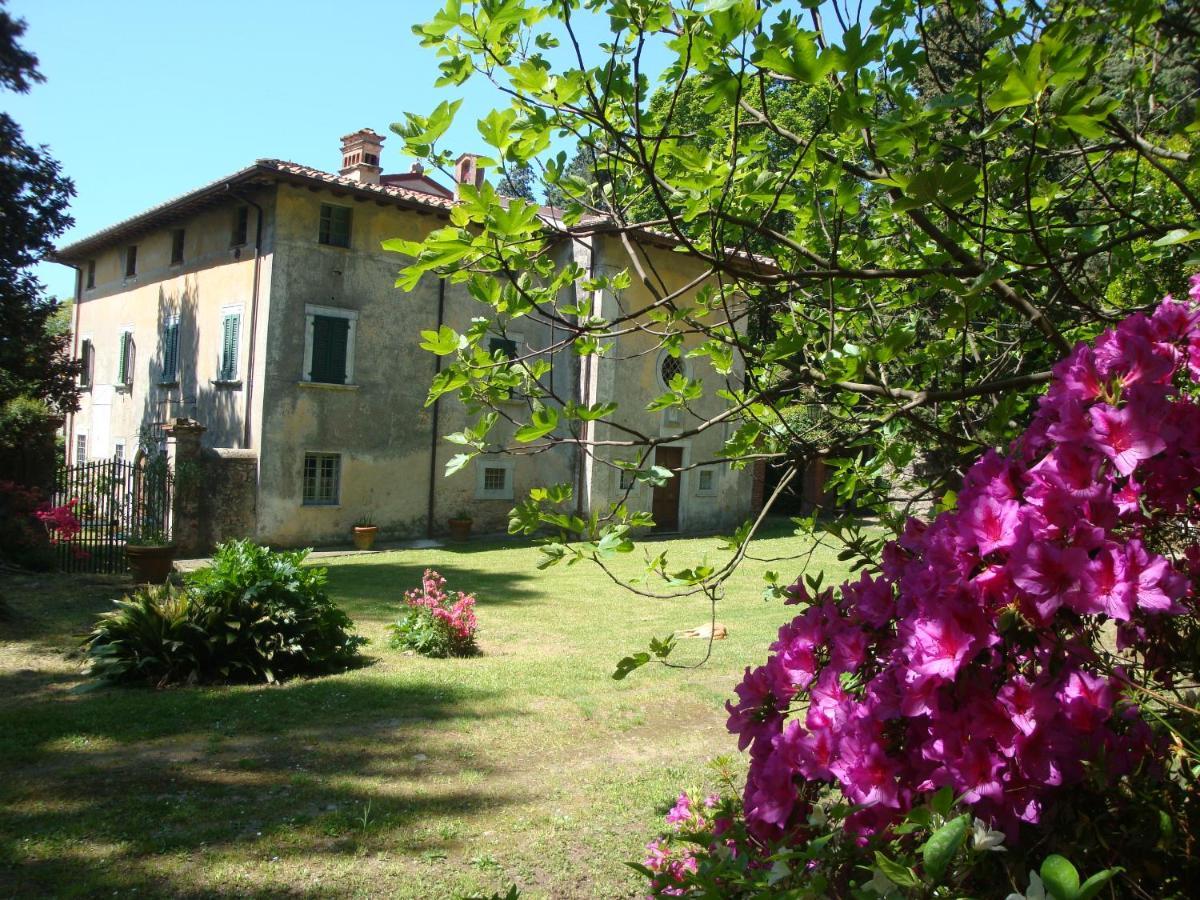 Bed & Breakfast Villa Masini-Luccetti Pietrasanta Exteriér fotografie